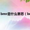 bmr是什么意思（bmr）