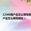 12360用户名怎么填写例如（用户名怎么填写例如）