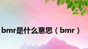 bmr是什么意思（bmr）