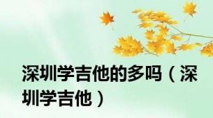 深圳学吉他的多吗（深圳学吉他）