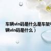 车辆vin码是什么是车架号（车辆vin码是什么）