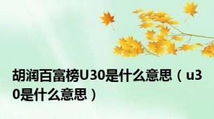 胡润百富榜U30是什么意思（u30是什么意思）