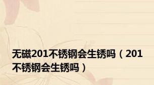 无磁201不锈钢会生锈吗（201不锈钢会生锈吗）