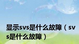 显示svs是什么故障（svs是什么故障）