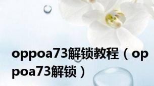 oppoa73解锁教程（oppoa73解锁）