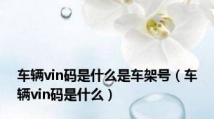 车辆vin码是什么是车架号（车辆vin码是什么）