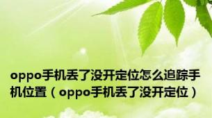 oppo手机丢了没开定位怎么追踪手机位置（oppo手机丢了没开定位）