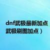 dnf武极最新加点（dnf武极刷图加点）