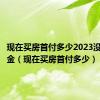 现在买房首付多少2023没有公积金（现在买房首付多少）