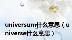 universum什么意思（universe什么意思）