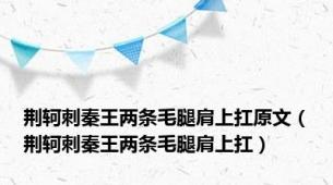 荆轲刺秦王两条毛腿肩上扛原文（荆轲刺秦王两条毛腿肩上扛）