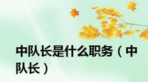 中队长是什么职务（中队长）