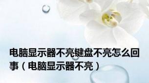 电脑显示器不亮键盘不亮怎么回事（电脑显示器不亮）