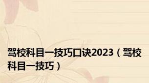 驾校科目一技巧口诀2023（驾校科目一技巧）