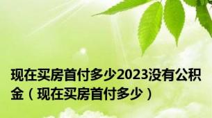 现在买房首付多少2023没有公积金（现在买房首付多少）