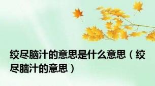 绞尽脑汁的意思是什么意思（绞尽脑汁的意思）