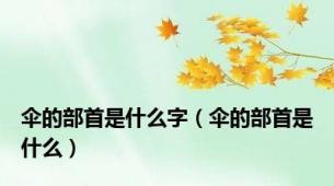 伞的部首是什么字（伞的部首是什么）