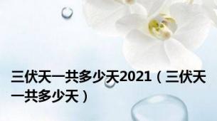 三伏天一共多少天2021（三伏天一共多少天）