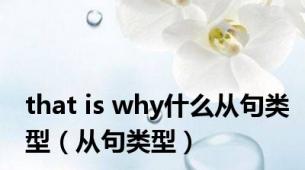 that is why什么从句类型（从句类型）