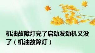 机油故障灯亮了启动发动机又没了（机油故障灯）