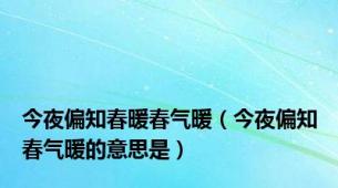 今夜偏知春暖春气暖（今夜偏知春气暖的意思是）