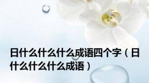 日什么什么什么成语四个字（日什么什么什么成语）