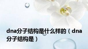 dna分子结构是什么样的（dna分子结构是）