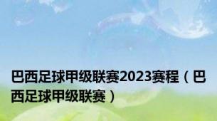 巴西足球甲级联赛2023赛程（巴西足球甲级联赛）