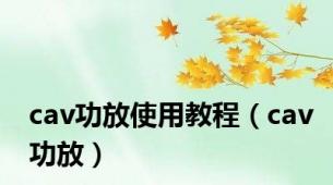 cav功放使用教程（cav功放）