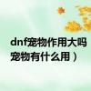 dnf宠物作用大吗（dnf宠物有什么用）