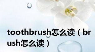 toothbrush怎么读（brush怎么读）