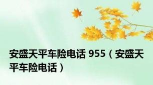 安盛天平车险电话 955（安盛天平车险电话）