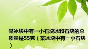 某冰块中有一小石块冰和石块的总质量是55克（某冰块中有一小石块）