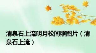 清泉石上流明月松间照图片（清泉石上流）