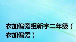 衣加偏旁组新字二年级（衣加偏旁）