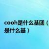 cooh是什么基团（cooh是什么基）