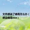 文件感染了病毒怎么办（文件夹感染病毒exe）