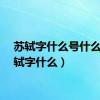 苏轼字什么号什么（苏轼字什么）