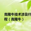 克隆牛技术涉及什么过程（克隆牛）