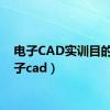 电子CAD实训目的（电子cad）