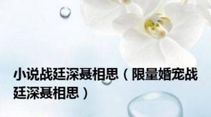 小说战廷深聂相思（限量婚宠战廷深聂相思）