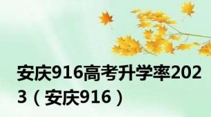 安庆916高考升学率2023（安庆916）