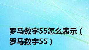 罗马数字55怎么表示（罗马数字55）