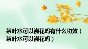 茶叶水可以浇花吗有什么功效（茶叶水可以浇花吗）