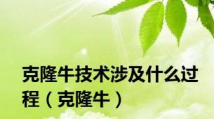 克隆牛技术涉及什么过程（克隆牛）