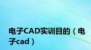 电子CAD实训目的（电子cad）