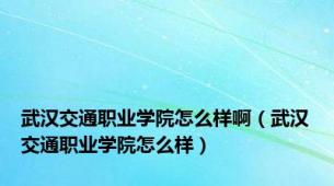 武汉交通职业学院怎么样啊（武汉交通职业学院怎么样）