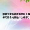 苹果无需合约版手机什么意思（苹果无需合约版是什么意思）