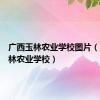 广西玉林农业学校图片（广西玉林农业学校）