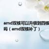 amd双核可以升级到四核处理器吗（amd双核补丁）